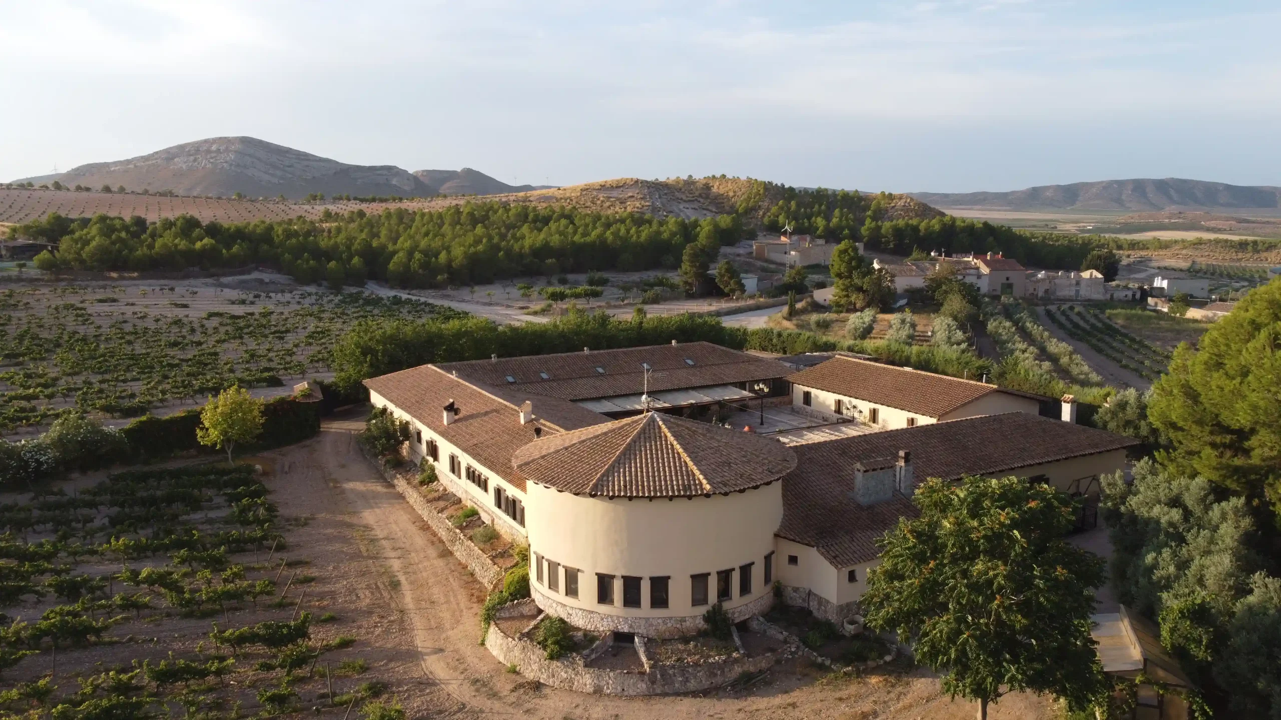 Hotel Spa Enoturismo Mainetes, hoteles y alojamientos en Fuente-Álamo